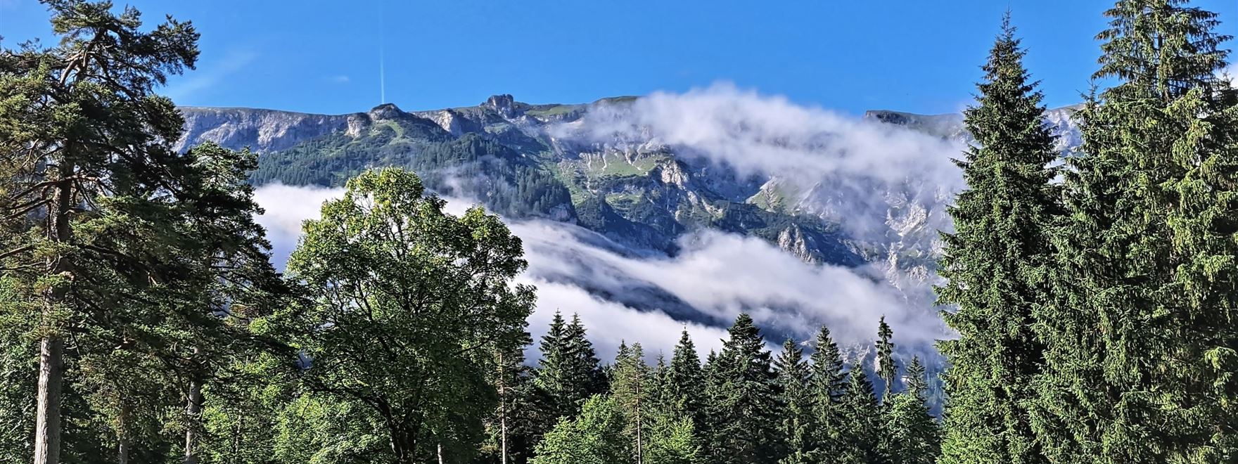 1.1. GC Achensee.jpg