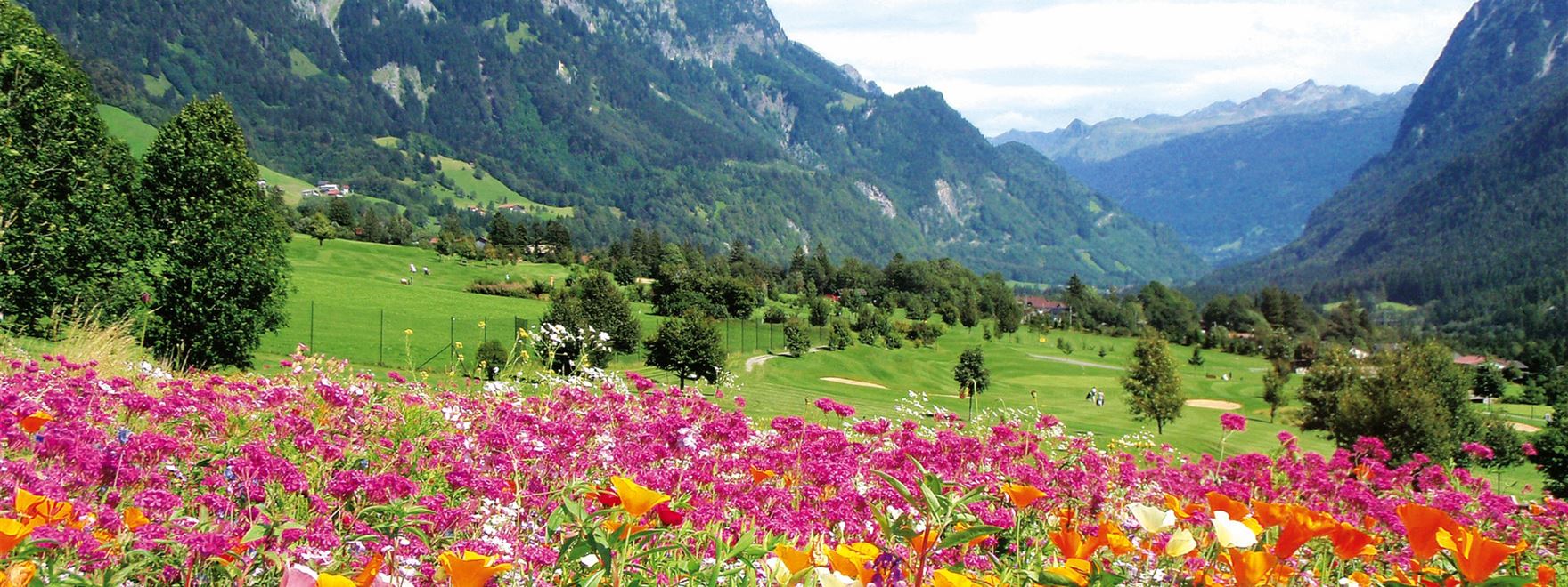 Blumenwiese GC Bludenz