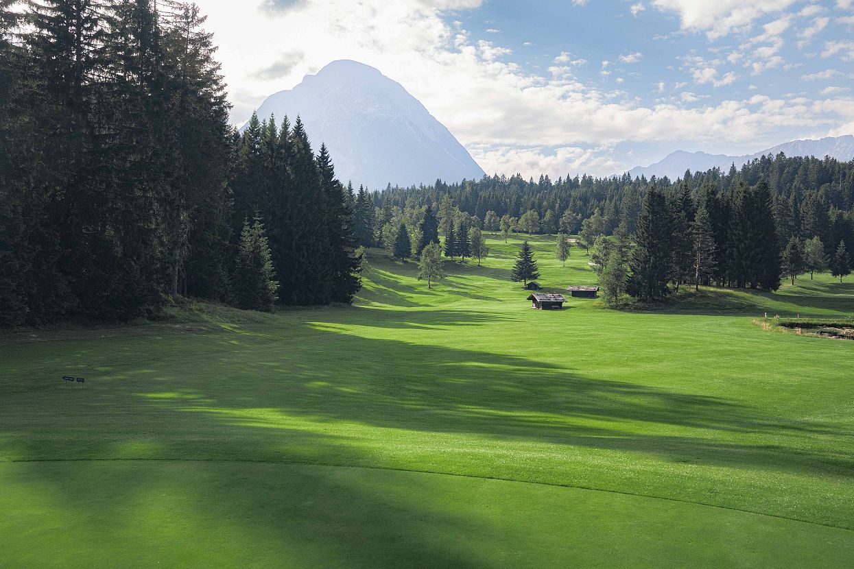 Gold Wildmoos-40.jpg