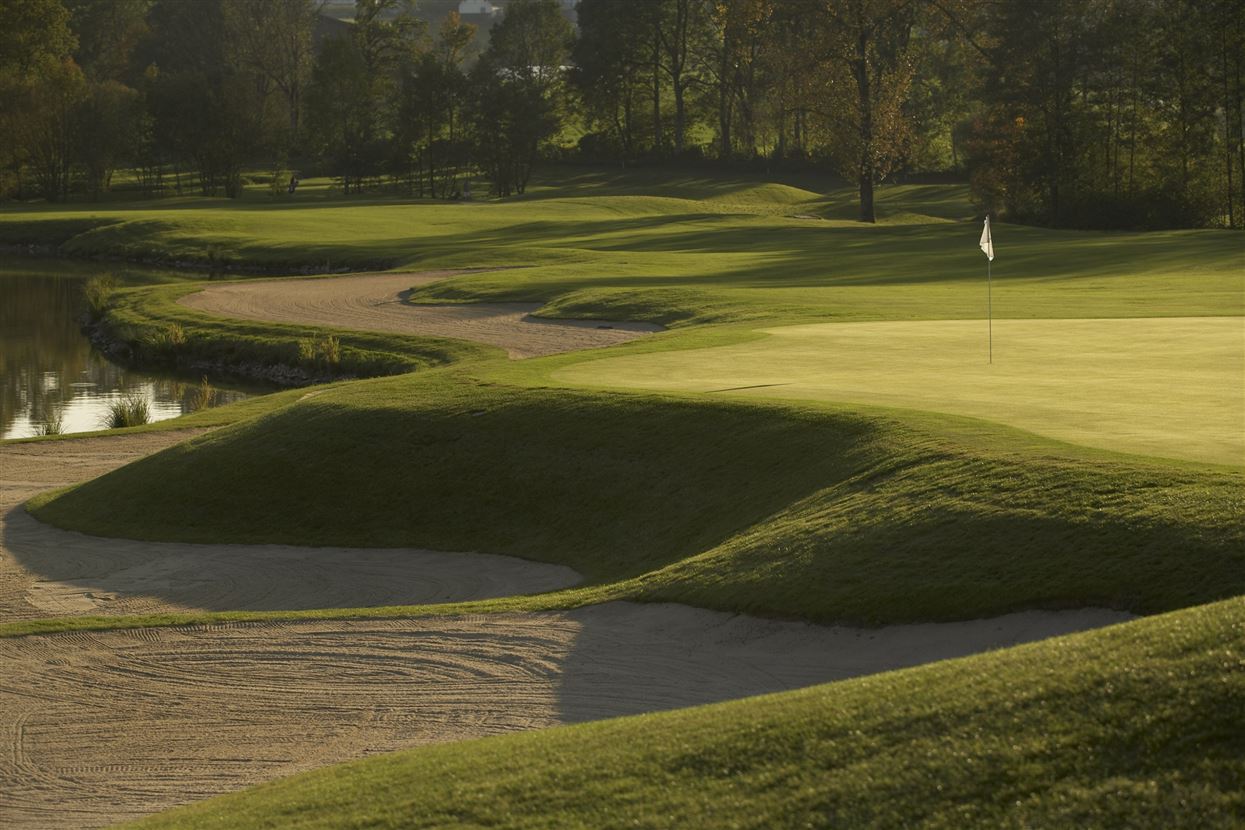 Golfgrün Altentann