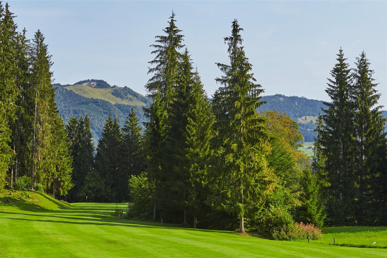 Golfloch