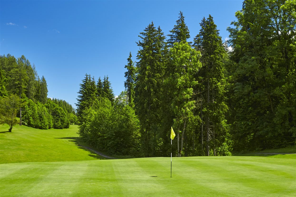 Golfloch Goldegg