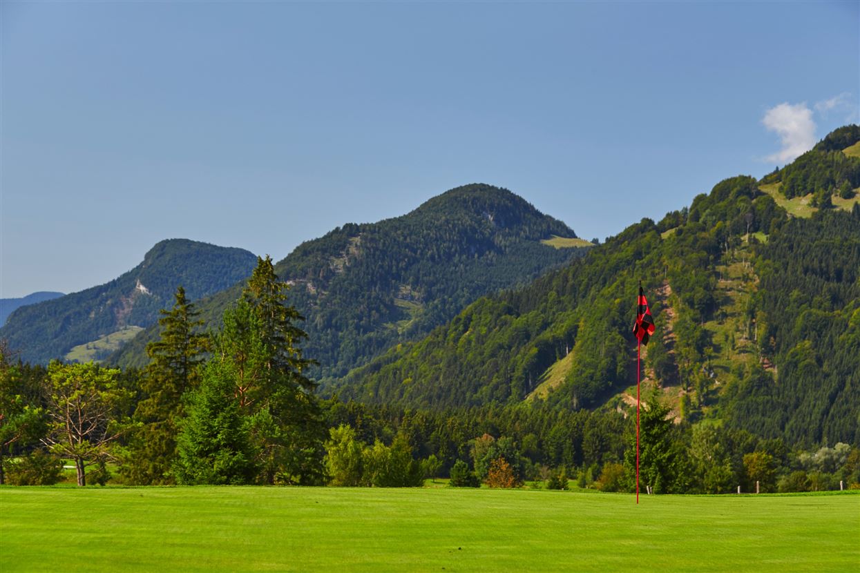 Golfplatz Lärchenhof Grün