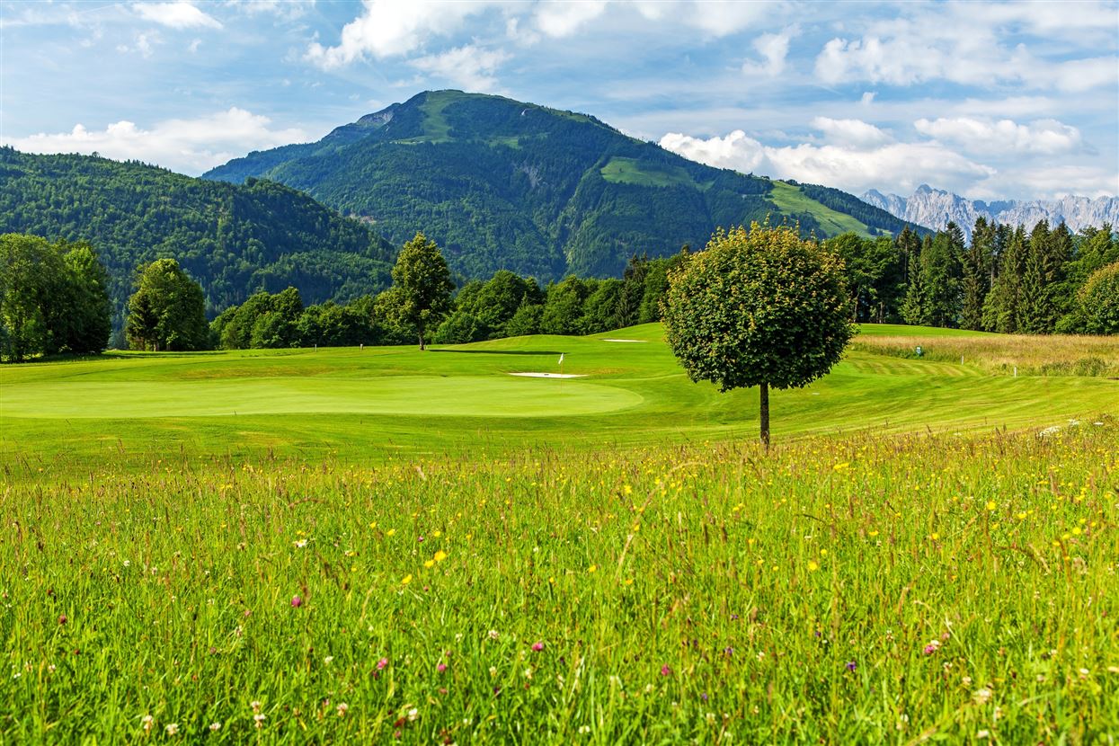 Golfplatz Reit im Winkel Kössen Grün