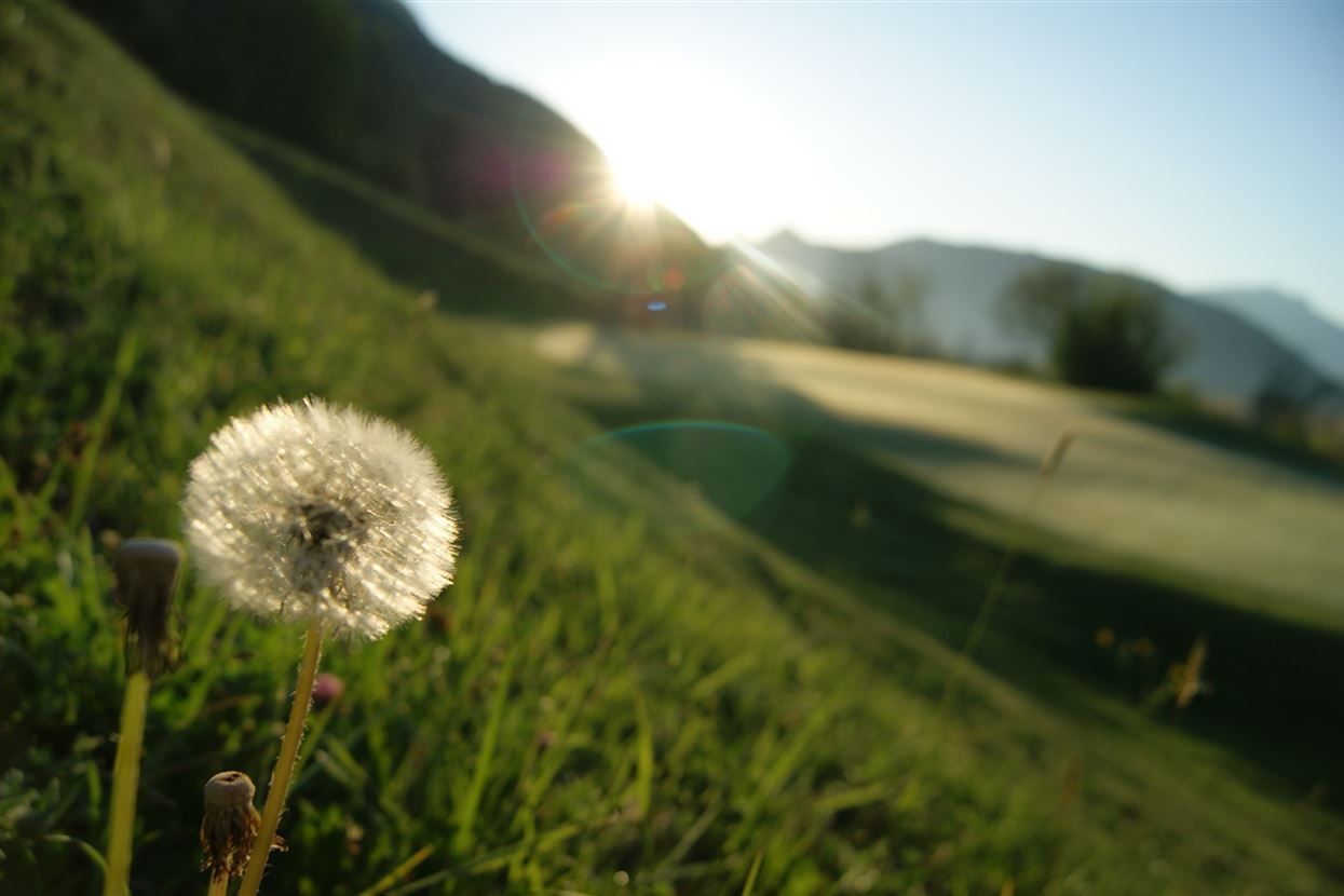 Golfplatz Walchsee