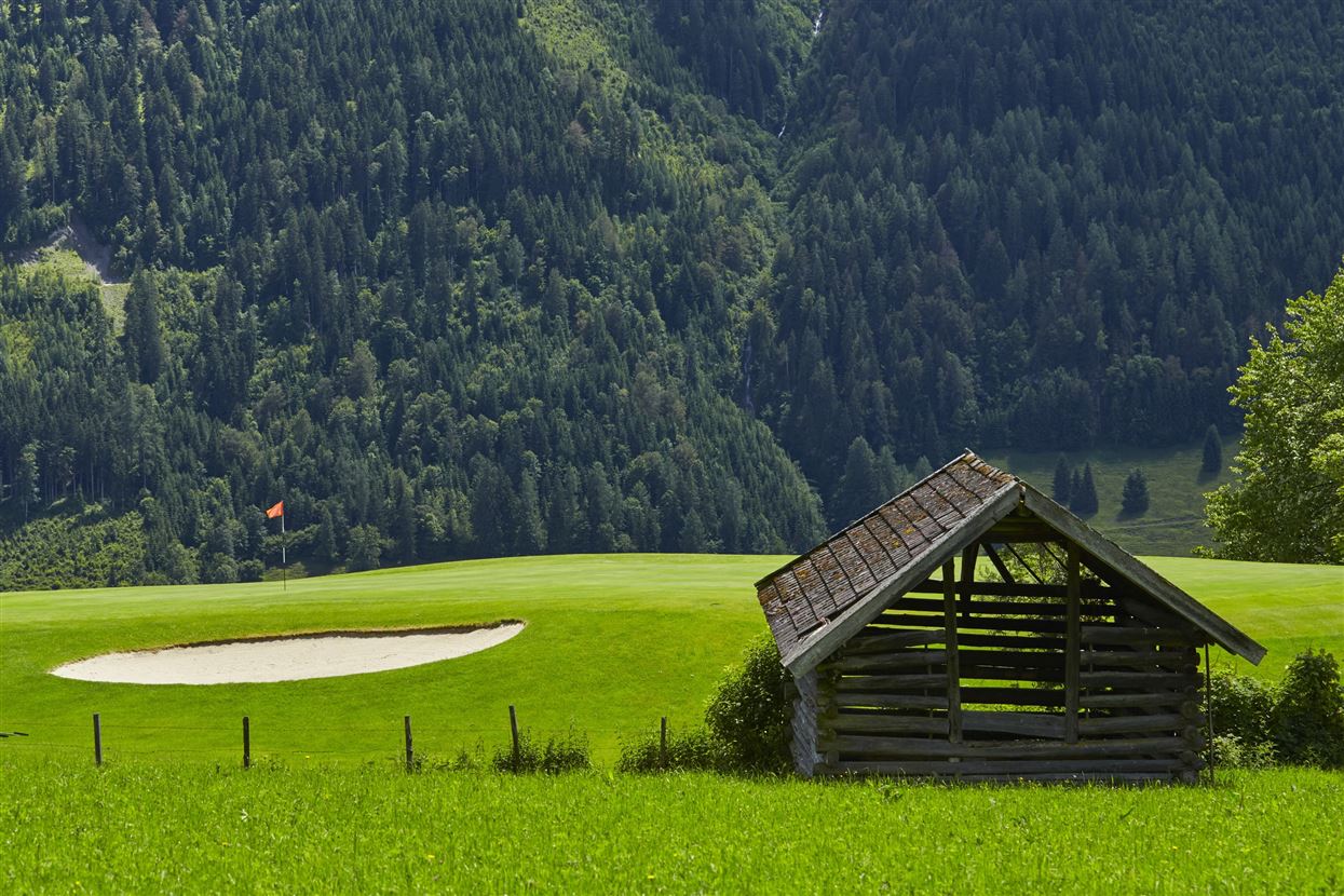Holzhütte am Golfplatz Goldegg