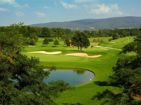 GC Föhrenwald Grün 18