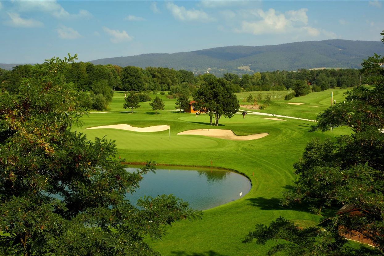 GC Föhrenwald Grün 18