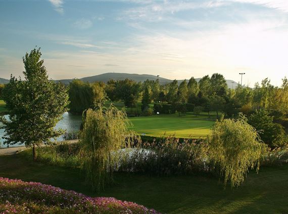Golfplatz bei Wien (Brunn)