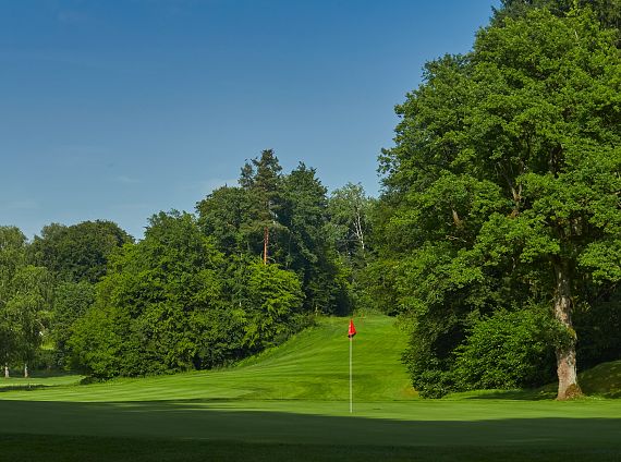 SEVERN IMAGES  2025 5.jpeg