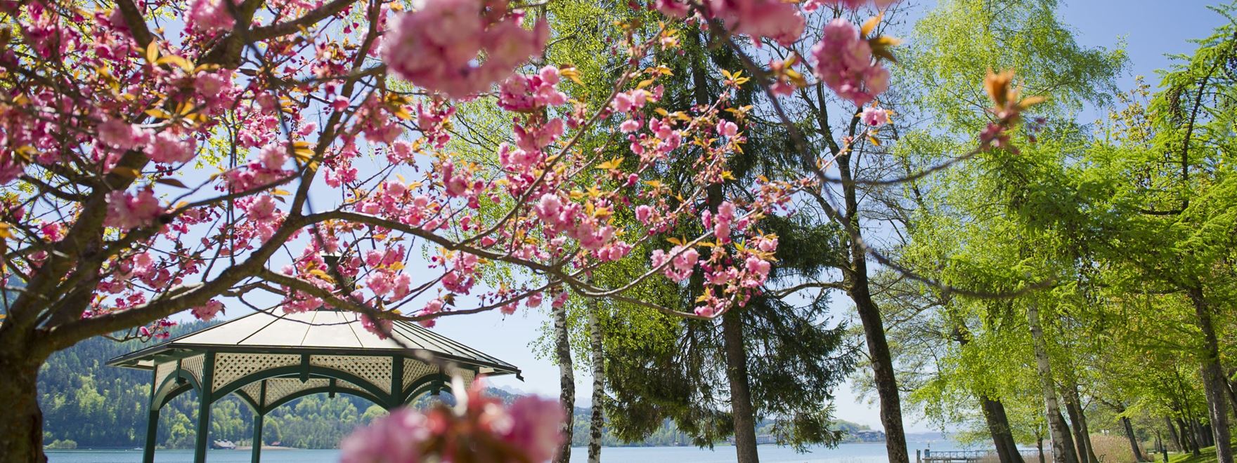 00000109892_Fruehling-im-Poertschach-am-Woerthersee_Woerthersee-Tourismus-GmbH_Franz-Gerdl.jpg