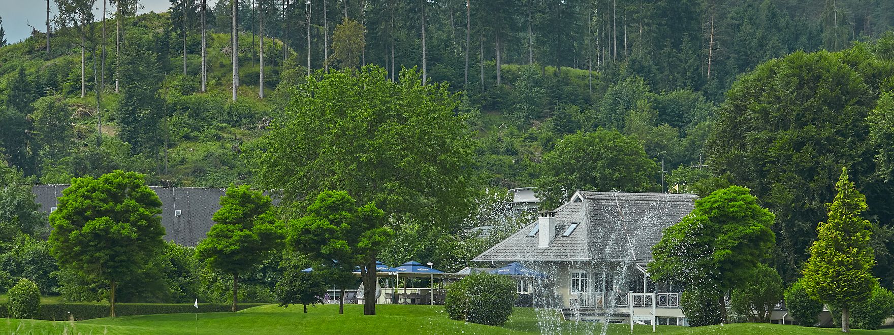 SEVERN IMAGES  2025 55.jpg