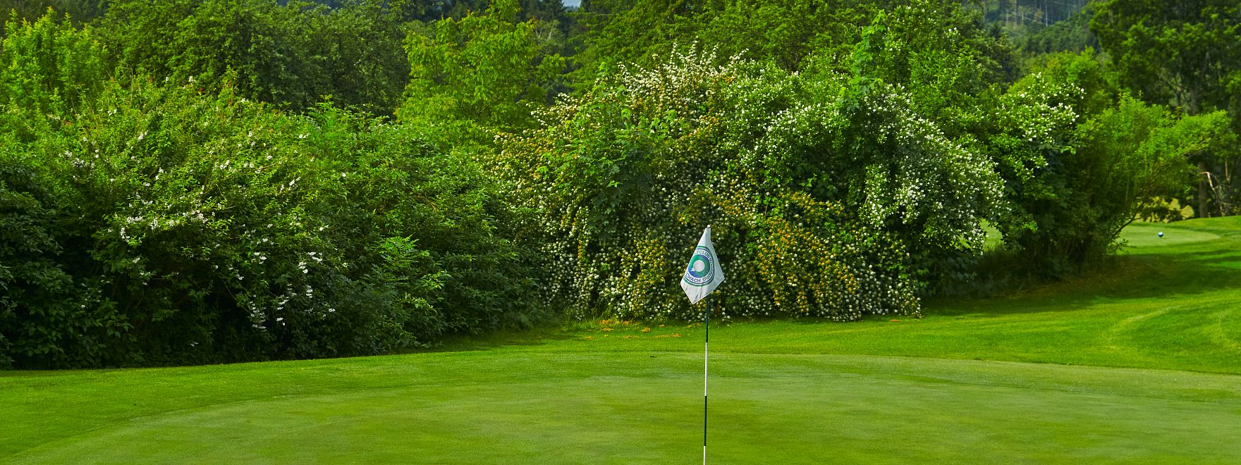 SEVERN IMAGES 2025 53.jpg