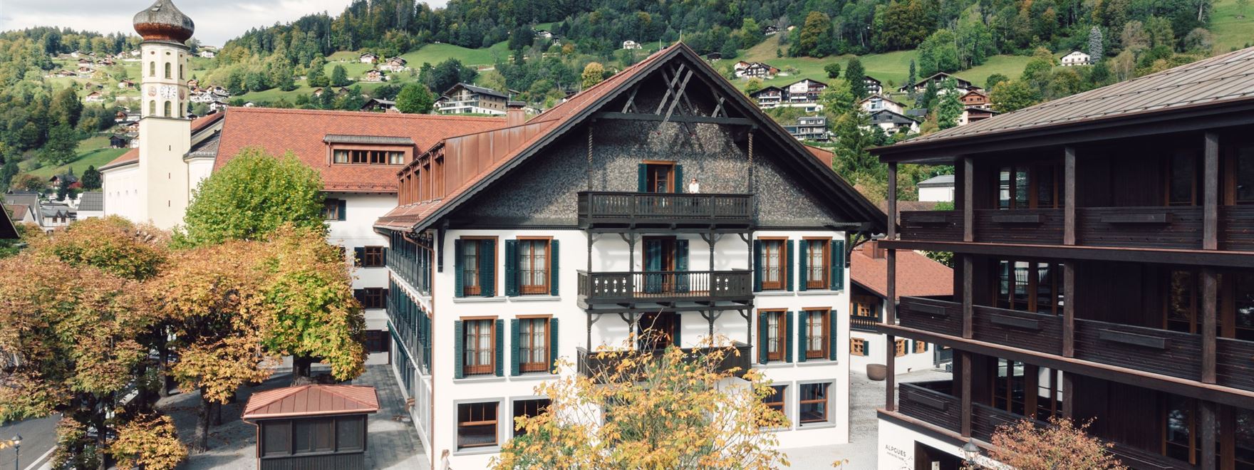 taube_2023_danielzangerl _001.jpg