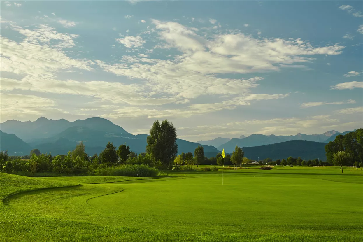 Golfgrün Montfort
