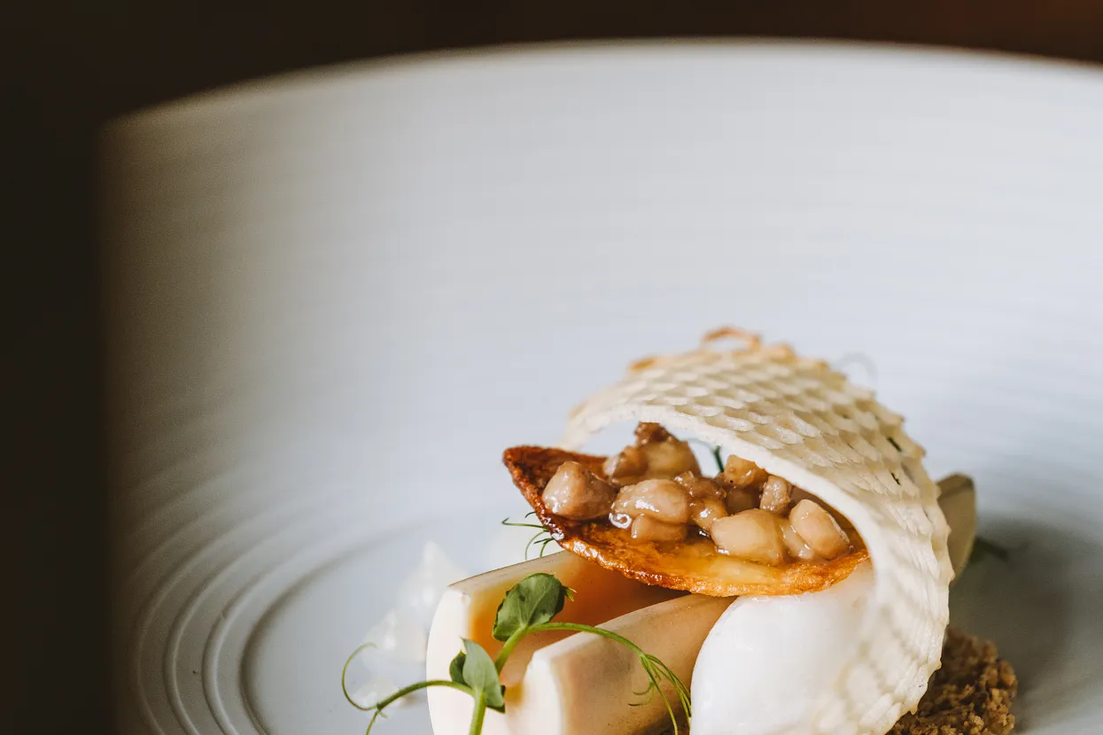 Post Lech-Süßkartoffel-Joann Pai.jpg