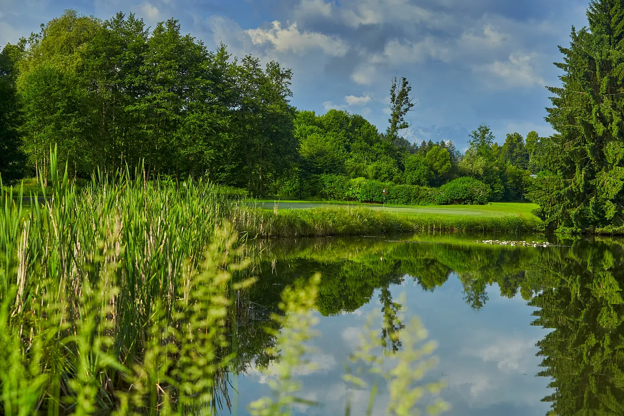 SEVERN IMAGES 2025 129.webp