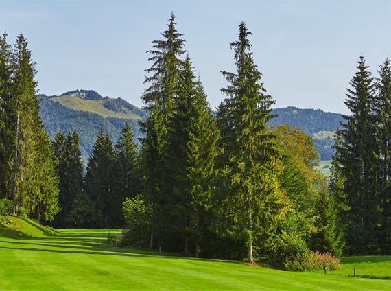 Golfloch