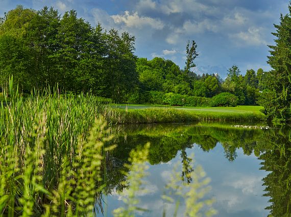 SEVERN IMAGES 2025 129.jpg