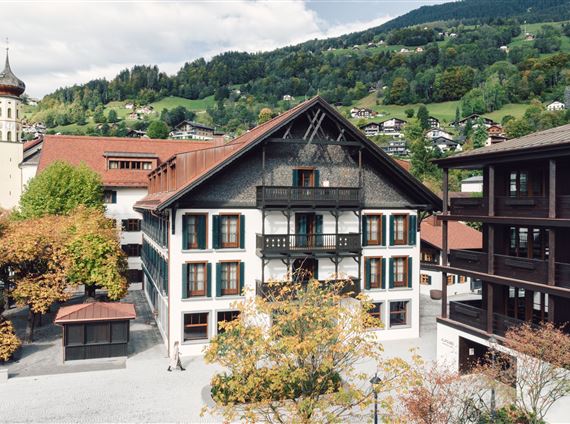 taube_2023_danielzangerl _001.jpg