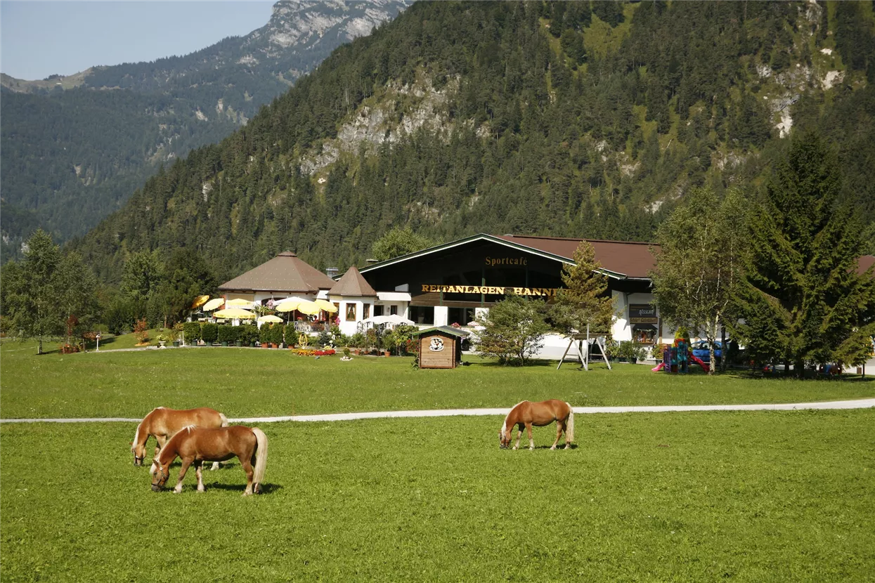 _MG_6258.JPG
