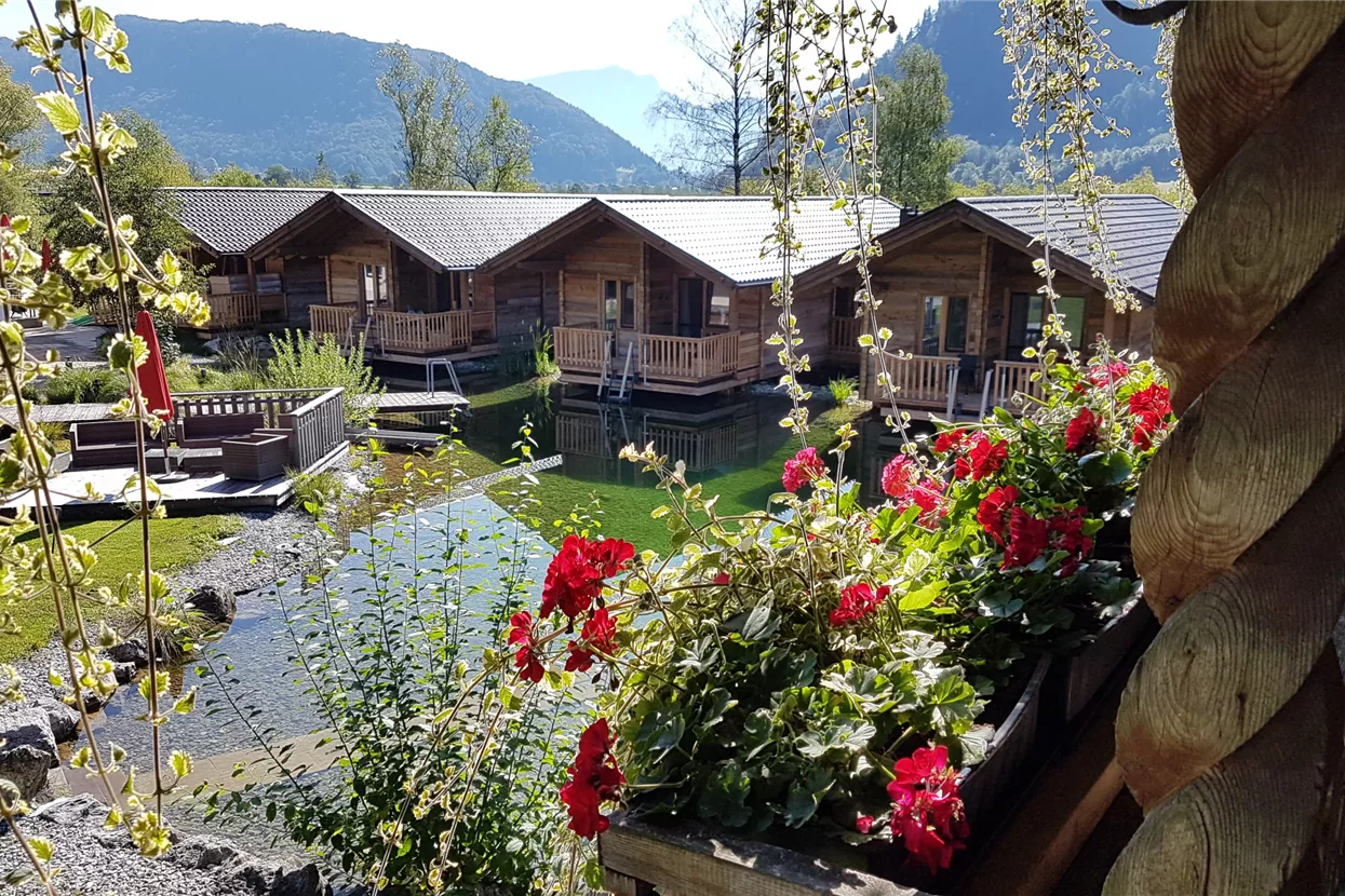 Chalet mit Teich