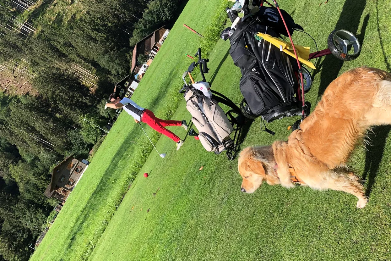 Golf und Hund