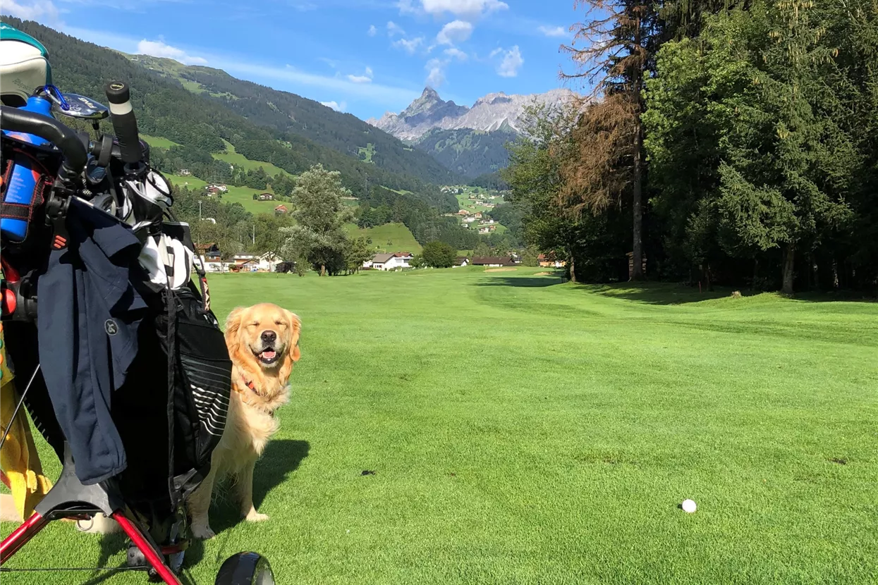 Golfen mit Hund