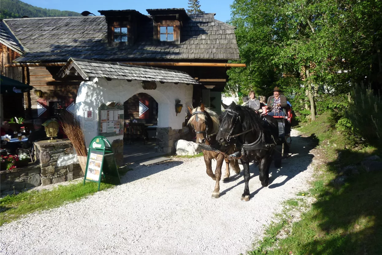 Pferdekutschen Erlebnisfahrten