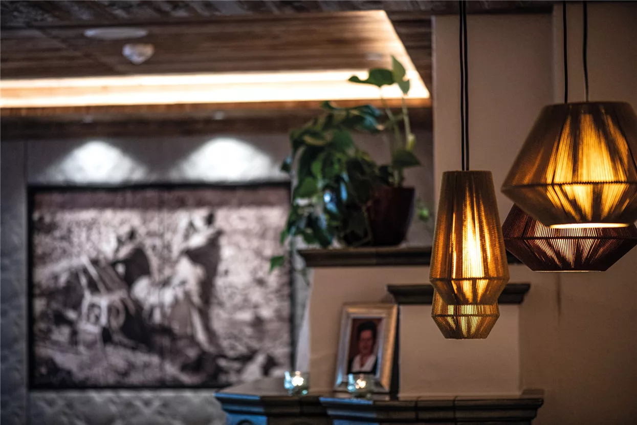 Lampen©rotwild