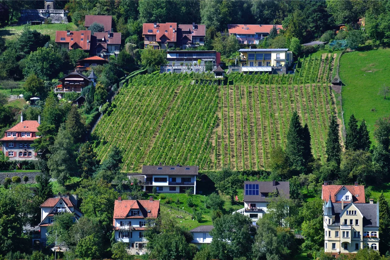 Weinberg