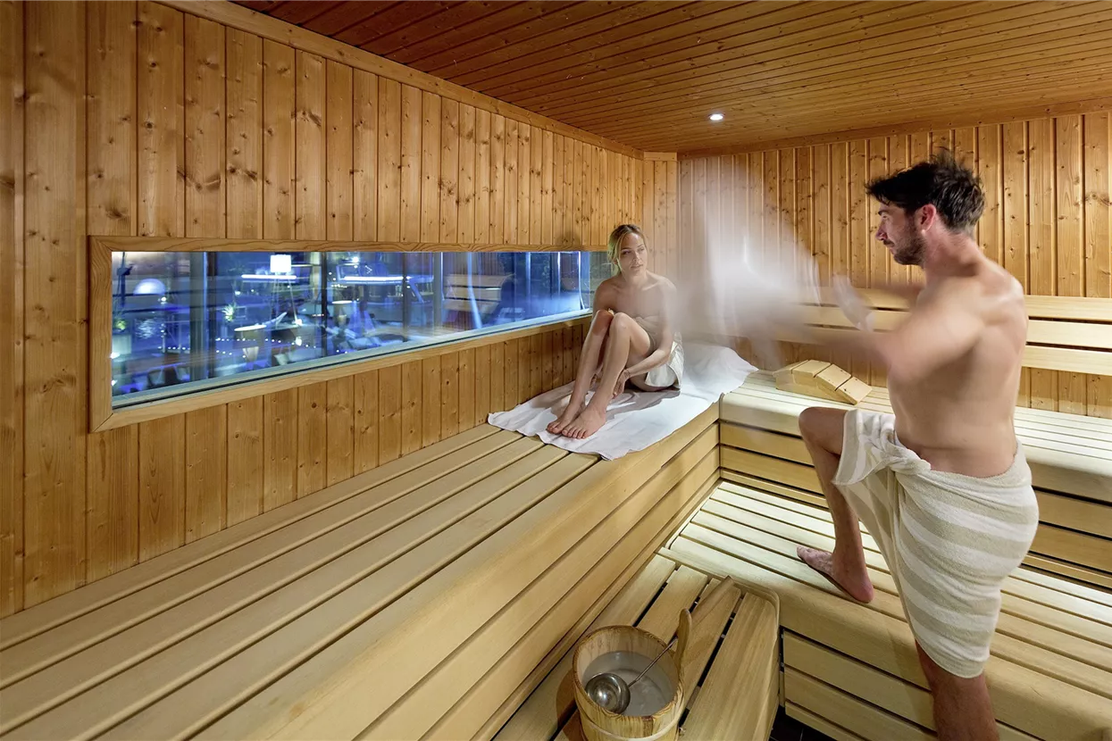Wellness Sauna